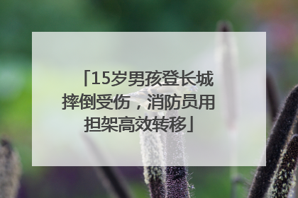 15岁男孩登长城摔倒受伤，消防员用担架高效转移