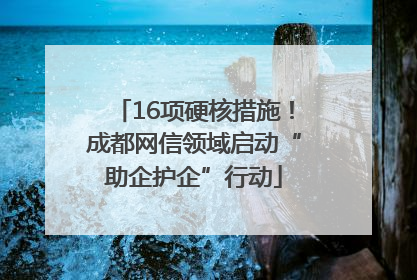 16项硬核措施！成都网信领域启动“助企护企”行动