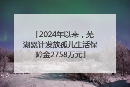 2024年以来，芜湖累计发放孤儿生活保障金2758万元