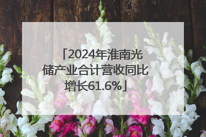 2024年淮南光储产业合计营收同比增长61.6%