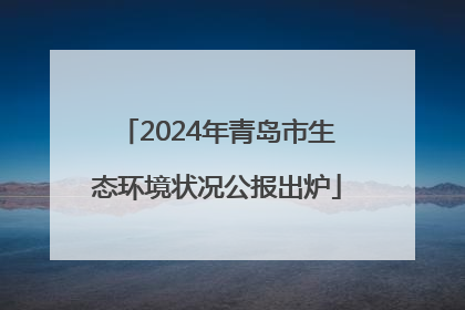 2024年青岛市生态环境状况公报出炉