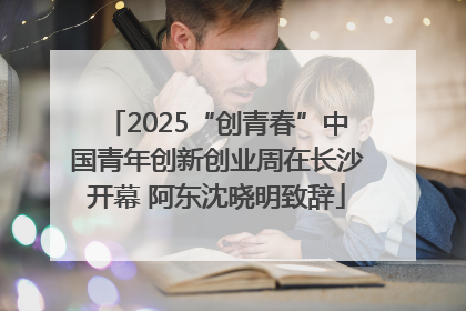 2025“创青春”中国青年创新创业周在长沙开幕 阿东沈晓明致辞