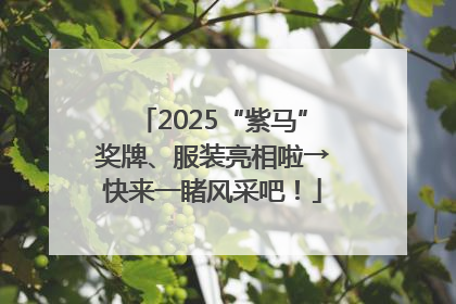 2025“紫马”奖牌、服装亮相啦→快来一睹风采吧！