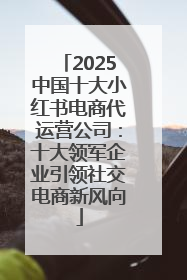 2025中国十大小红书电商代运营公司：十大领军企业引领社交电商新风向