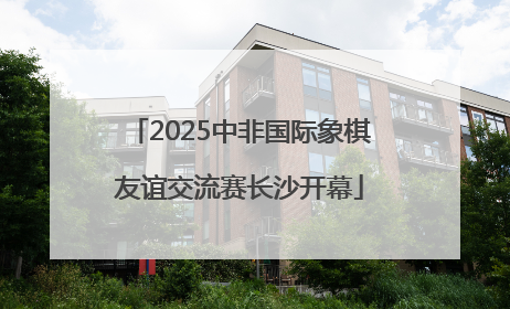 2025中非国际象棋友谊交流赛长沙开幕