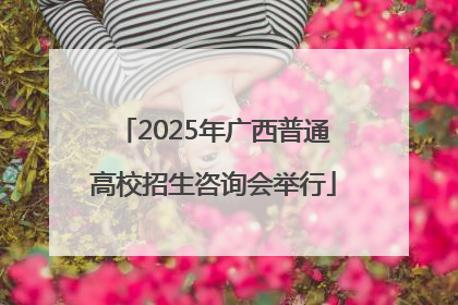 2025年广西普通高校招生咨询会举行