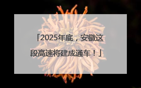 2025年底，安徽这段高速将建成通车！