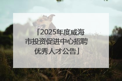 2025年度威海市投资促进中心招聘优秀人才公告