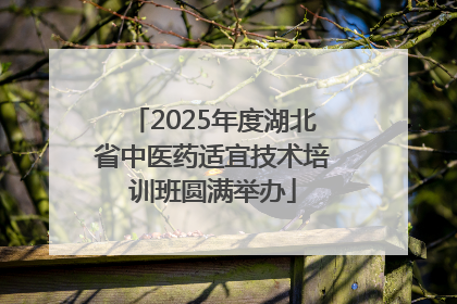 2025年度湖北省中医药适宜技术培训班圆满举办