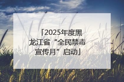 2025年度黑龙江省“全民禁毒宣传月”启动