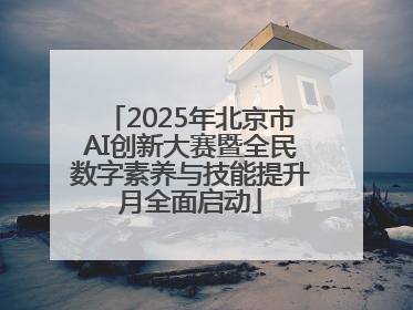 2025年北京市AI创新大赛暨全民数字素养与技能提升月全面启动