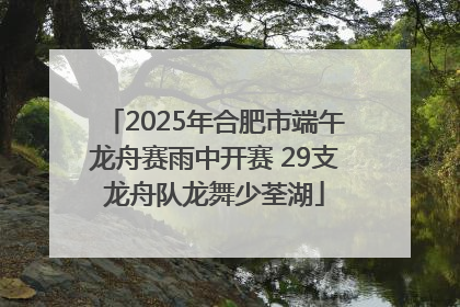 2025年合肥市端午龙舟赛雨中开赛 29支龙舟队龙舞少荃湖