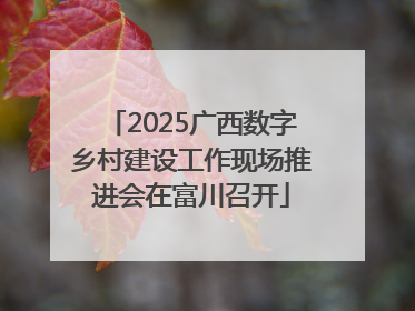 2025广西数字乡村建设工作现场推进会在富川召开