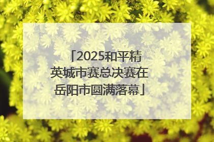 2025和平精英城市赛总决赛在岳阳市圆满落幕