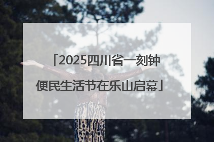 2025四川省一刻钟便民生活节在乐山启幕