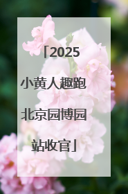 2025小黄人趣跑北京园博园站收官
