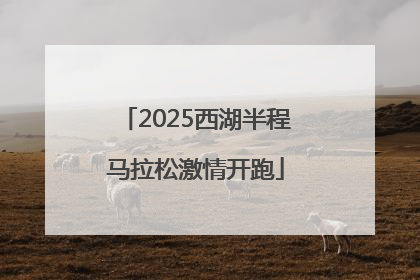 2025西湖半程马拉松激情开跑