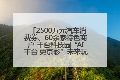 2500万元汽车消费券、60余家特色商户 丰台科技园“AI丰台 更京彩”未来玩家市集活动正式开幕