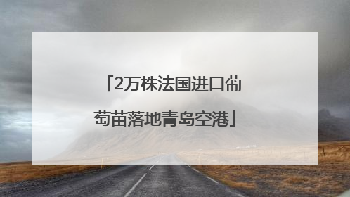 2万株法国进口葡萄苗落地青岛空港