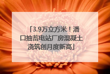3.9万立方米！潘口抽蓄电站厂房混凝土浇筑创月度新高