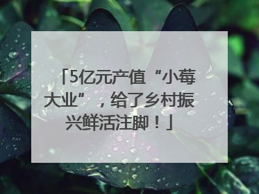 5亿元产值“小莓大业”，给了乡村振兴鲜活注脚！