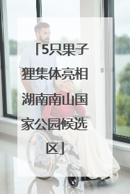 5只果子狸集体亮相湖南南山国家公园候选区