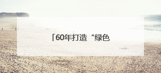 60年打造“绿色银行”：吉林通化红松林藏着致富密码