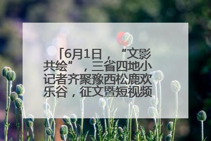 6月1日，“文影共绘”，三省四地小记者齐聚豫西松鹿欢乐谷，征文暨短视频大赛精彩启幕！