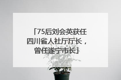 75后刘会英获任四川省人社厅厅长，曾任遂宁市长