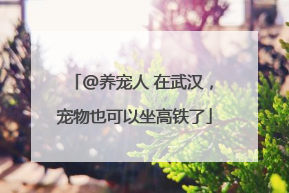 @养宠人 在武汉，宠物也可以坐高铁了