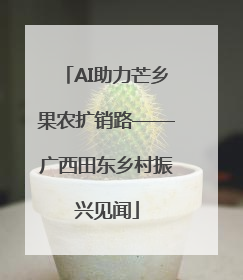 AI助力芒乡果农扩销路——广西田东乡村振兴见闻