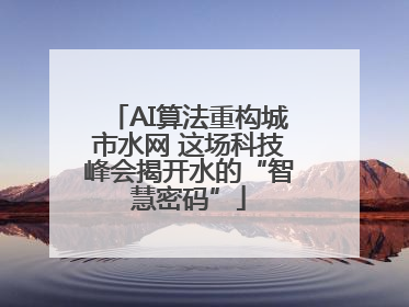 AI算法重构城市水网 这场科技峰会揭开水的“智慧密码”