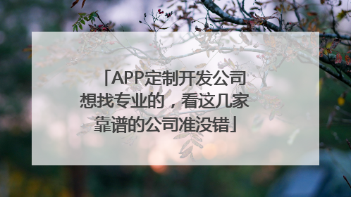 APP定制开发公司想找专业的，看这几家靠谱的公司准没错