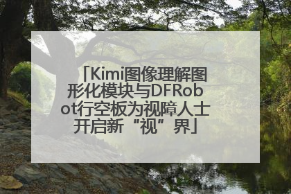 Kimi图像理解图形化模块与DFRobot行空板为视障人士开启新“视”界