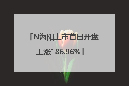 N海阳上市首日开盘上涨186.96%