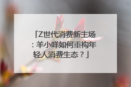 Z世代消费新主场：羊小咩如何重构年轻人消费生态？