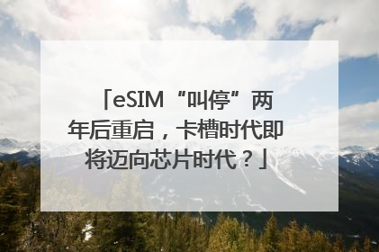 eSIM“叫停”两年后重启，卡槽时代即将迈向芯片时代？